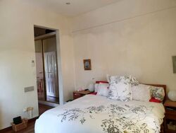 Amber Road (D15), Terrace #560779121